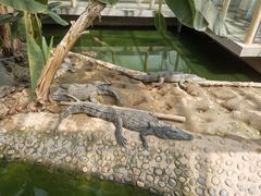 -石家庄市动物园