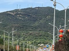 -国家植物园南园