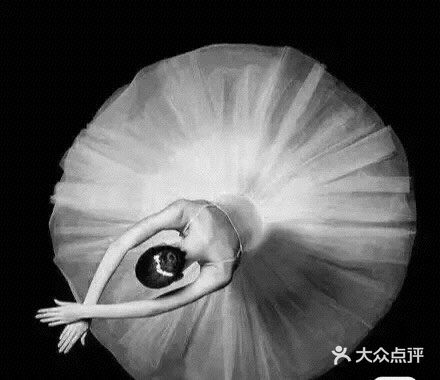一生只想与你共舞I Do 芭蕾🩰💍