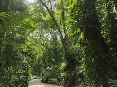 -曼听御花园