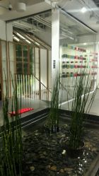 -悦诗风吟innisfree