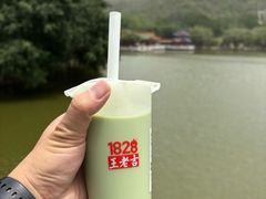 -珠海圆明新园
