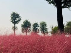 -汉长安城未央宫国家考古遗址公园