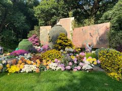 -杭州植物园