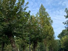 -四川大学(望江校区)