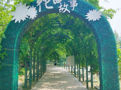 -杭州湾海上花田景区