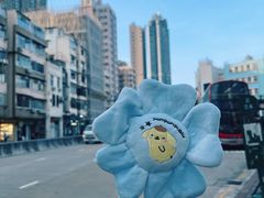 -玩具反斗城(海港城店)