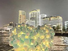 -上海港国际客运中心1号游艇码头