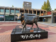 -庆州千年韩牛 普门名品馆(보문점)