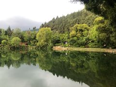 -蝴蝶泉公园