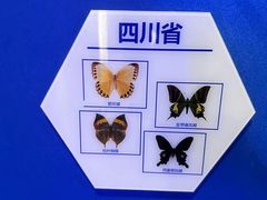 -吉林省自然博物馆