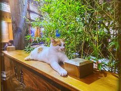 -少林功夫文化中心·独门独院