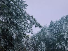 -四明山国家森林公园
