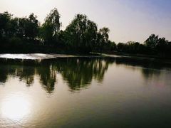 -东郊湿地公园