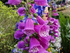 -人民公园(罗湖区)