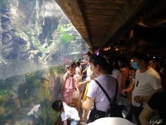 -华夏文旅海洋公园