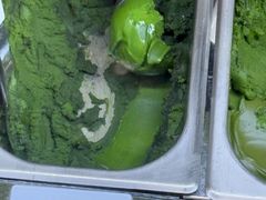 -鹤茶野所(上海首店)
