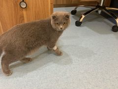 -萌兽医馆·犬猫专科·眼科中心·宠物医院(朝阳门分院)