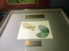 -上海昆虫博物馆