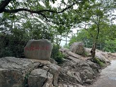 -紫金山山顶公园