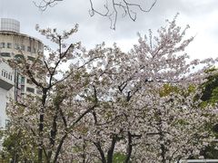 -兰溪青年公园