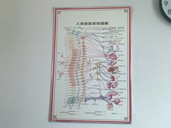 -张钰强中医正骨推拿连锁(华发商都店)