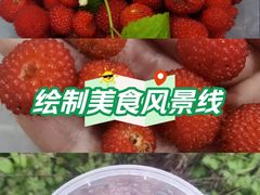 -三垟湿地