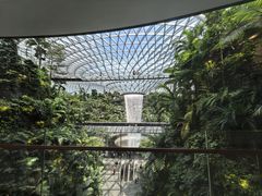 -结霜桥叻沙