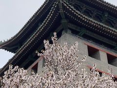 -北京明城墙遗址公园