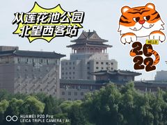 -莲花池公园