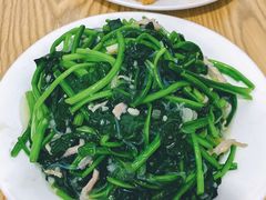 肉炒菠菜粉丝-九龙餐厅(大沽路店)