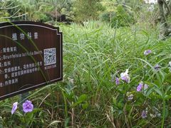 -白沙门生态公园
