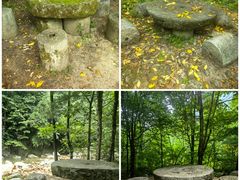 -青峰峡国家森林公园