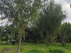 -太阳宫公园