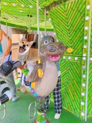 -宝燕乐园(闵行旗舰店)