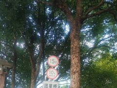 -风云岭森林公园