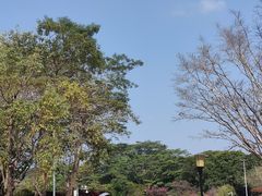-东莞植物园