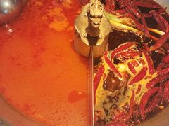 -小龙翻大江文化火锅(宽窄店)
