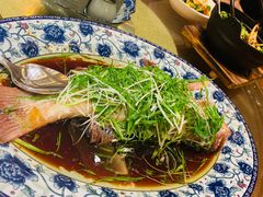 -海王老记