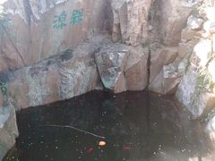 -香雪海