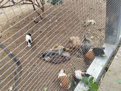 -北京华联合肥长江西路购物中心