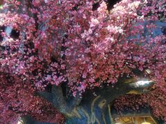 -寻钵记民菜馆·正宗常德钵子菜(滨湖路店)