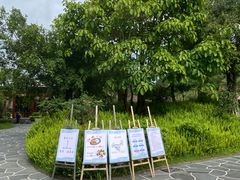 -腾冲洞山温泉村