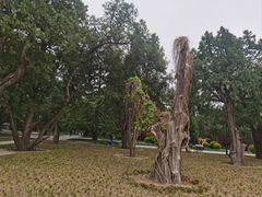-北京市劳动人民文化宫(太庙)