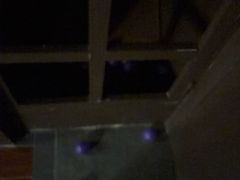 -Xcape异时刻密室逃脱魔法互动(瑞虹天地太阳宫店)