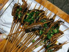 -晓靖轩烧烤(沙河风情店)