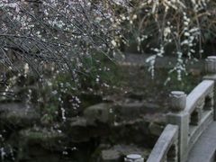 -北寺塔