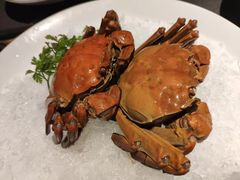 -福玺荟(外滩罗斯福店)