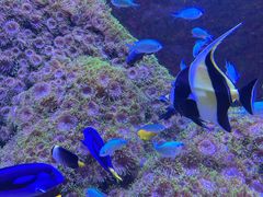 -成都浩海立方海洋公园