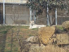 -上方山森林动物世界